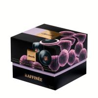 Конфеты Raffinee ChocoMe RF113, Белый шоколад. Черная смородина с йогуртом из голубики, 120 г. Конфеты Raffinee ChocoMe RF113, Белый шоколад. Черная смородина с йогуртом из голубики, 120 г.