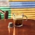 Кофе в капсулах Nespresso Buenos Aires Lungo​, 10 шт